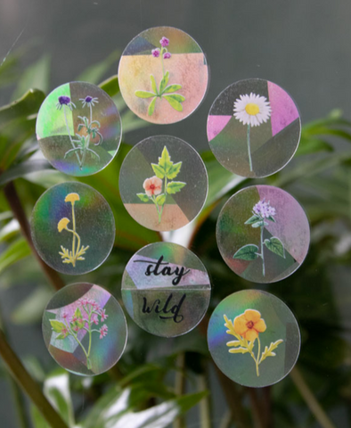 Stay Wild Rainbow Maker Mini Stickers-8 Pack