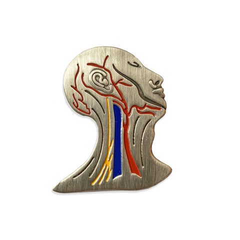 Gray's Anatomy Fig. 520 Pin